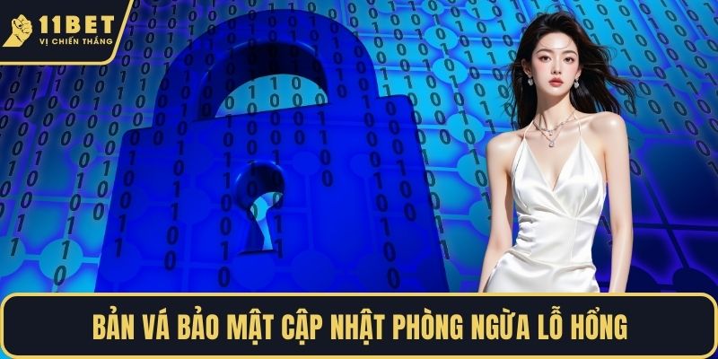 Bản vá bảo mật cập nhật phòng ngừa lỗ hổng
