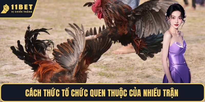 Cách thức tổ chức quen thuộc của nhiều trận 