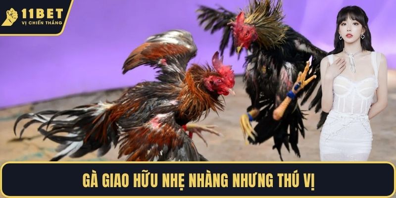Gà giao hữu nhẹ nhàng nhưng thú vị
