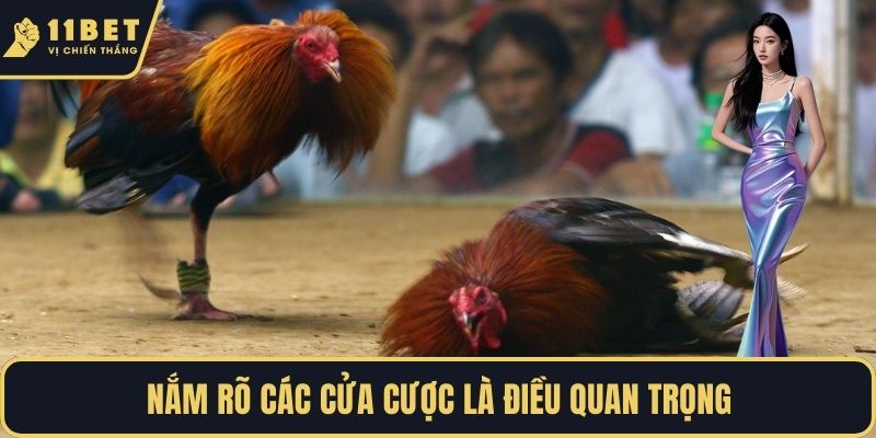 Nắm rõ các cửa cược là điều quan trọng