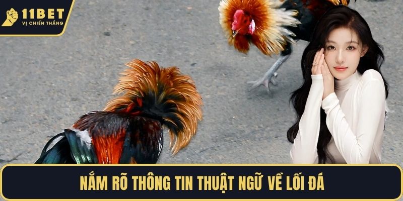 Nắm rõ thông tin thuật ngữ về lối đá
