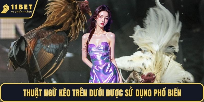 Thuật ngữ kèo trên dưới được sử dụng phổ biến